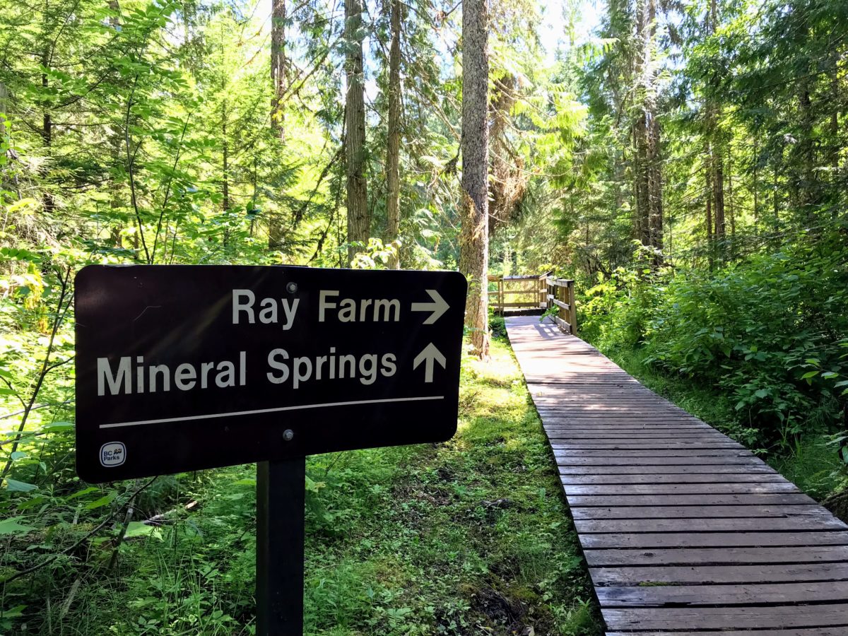 Ray Farm & Mineral Spring - wandeling Wells Gray Park