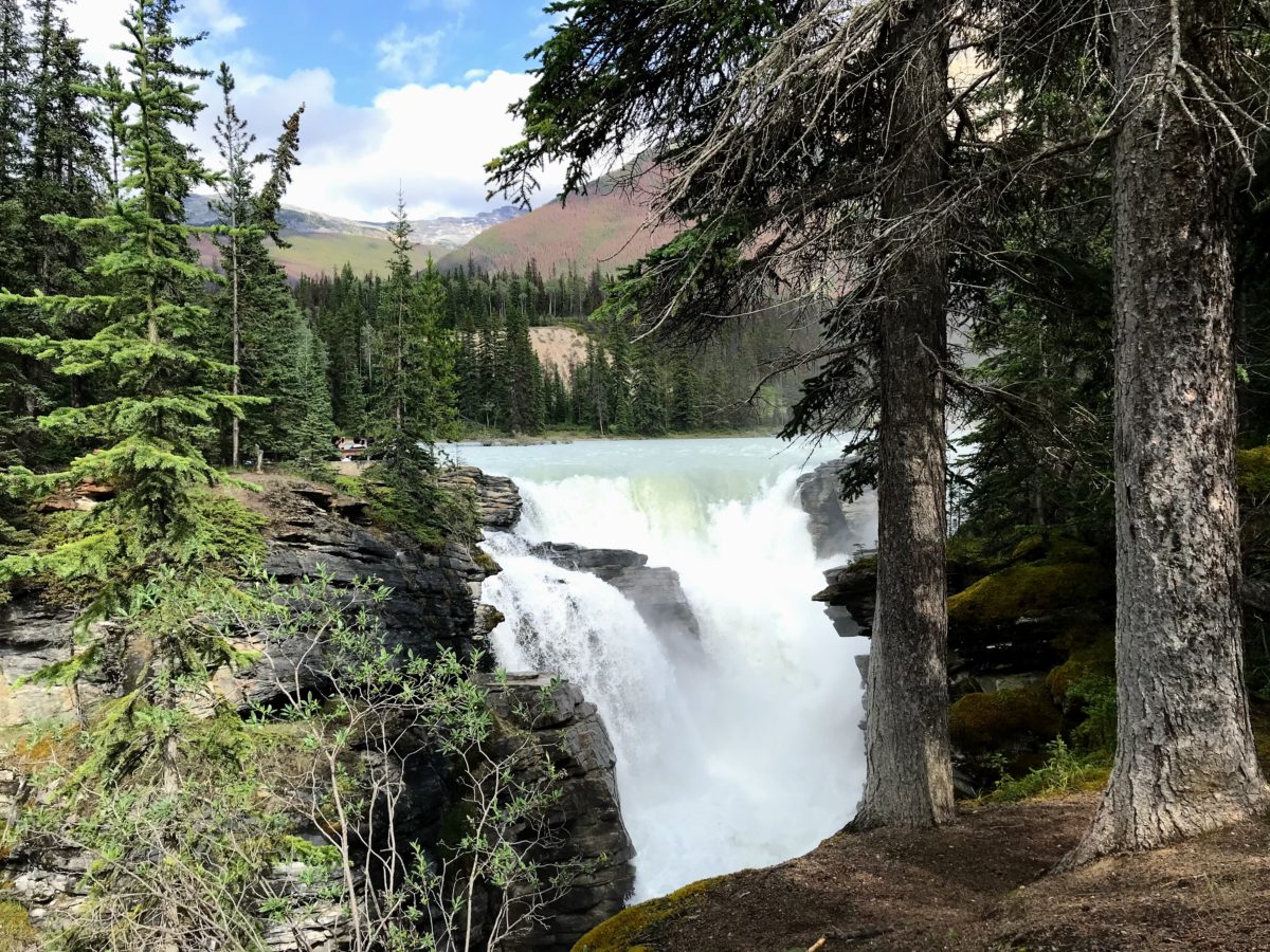 Athabasca Falls in Alberta