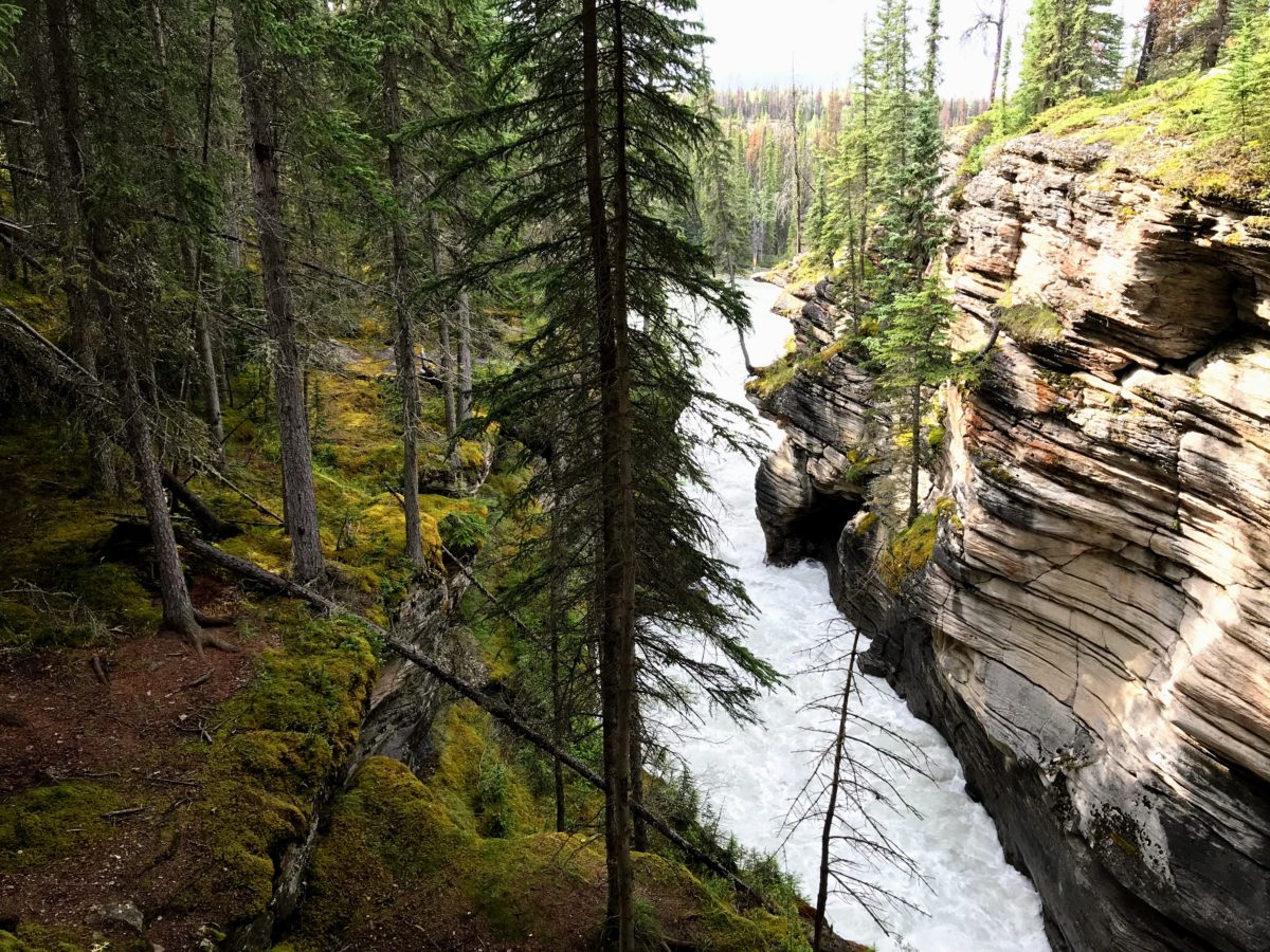 Athabasca Falls Lower Canyon