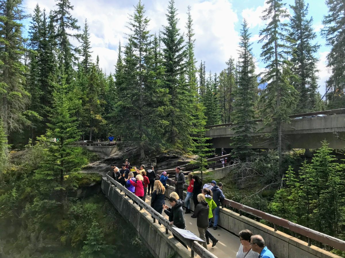 Athabasca Falls in Alberta