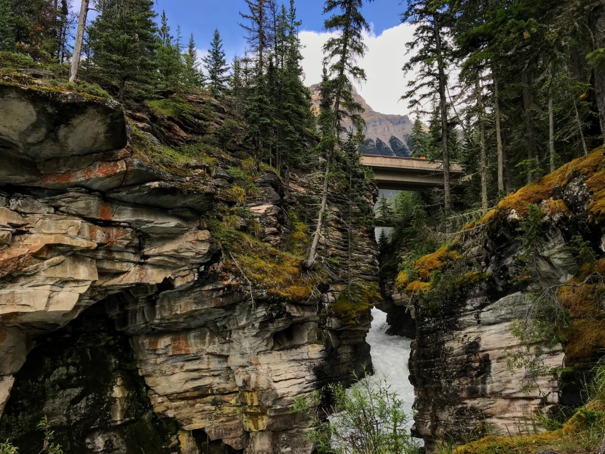 Brug Athabasca Falls