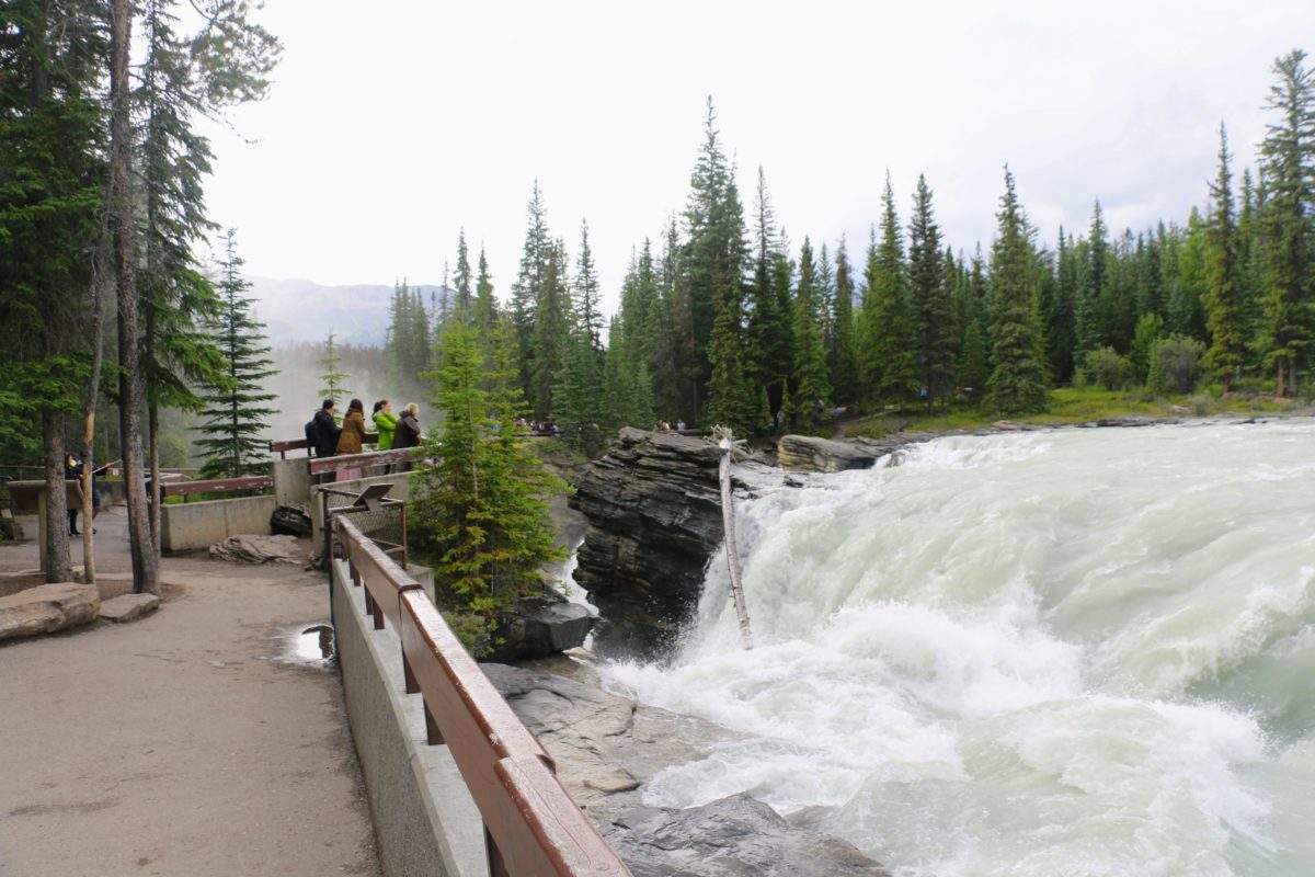 Athabasca Waterval Jasper