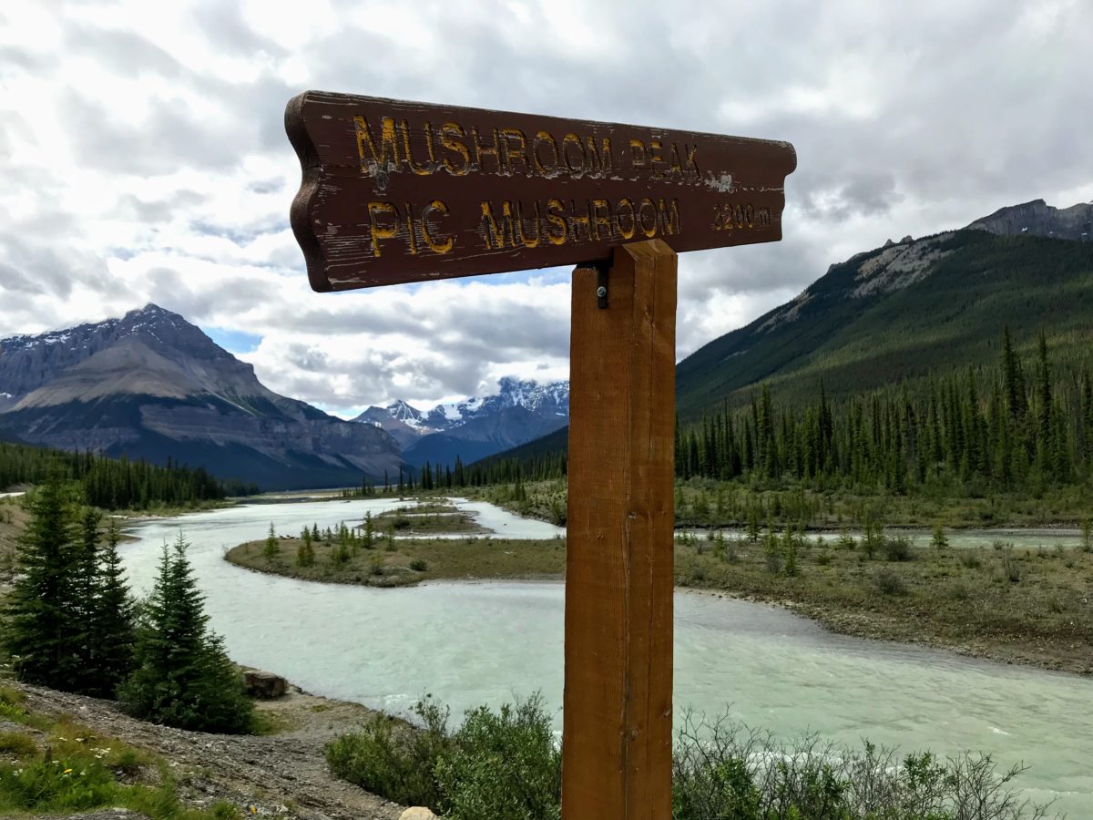 Mushroom Peak Icefields Parkway