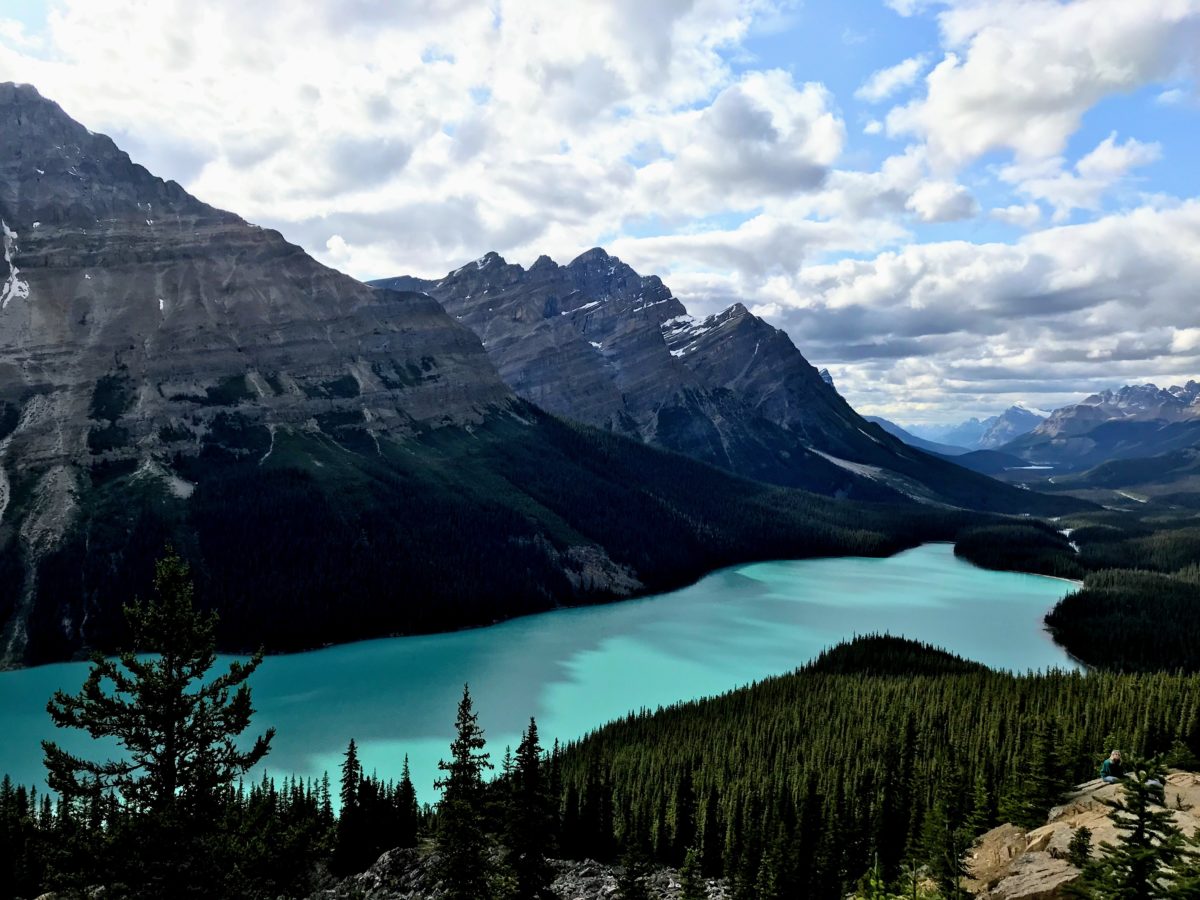 Peyto Lake