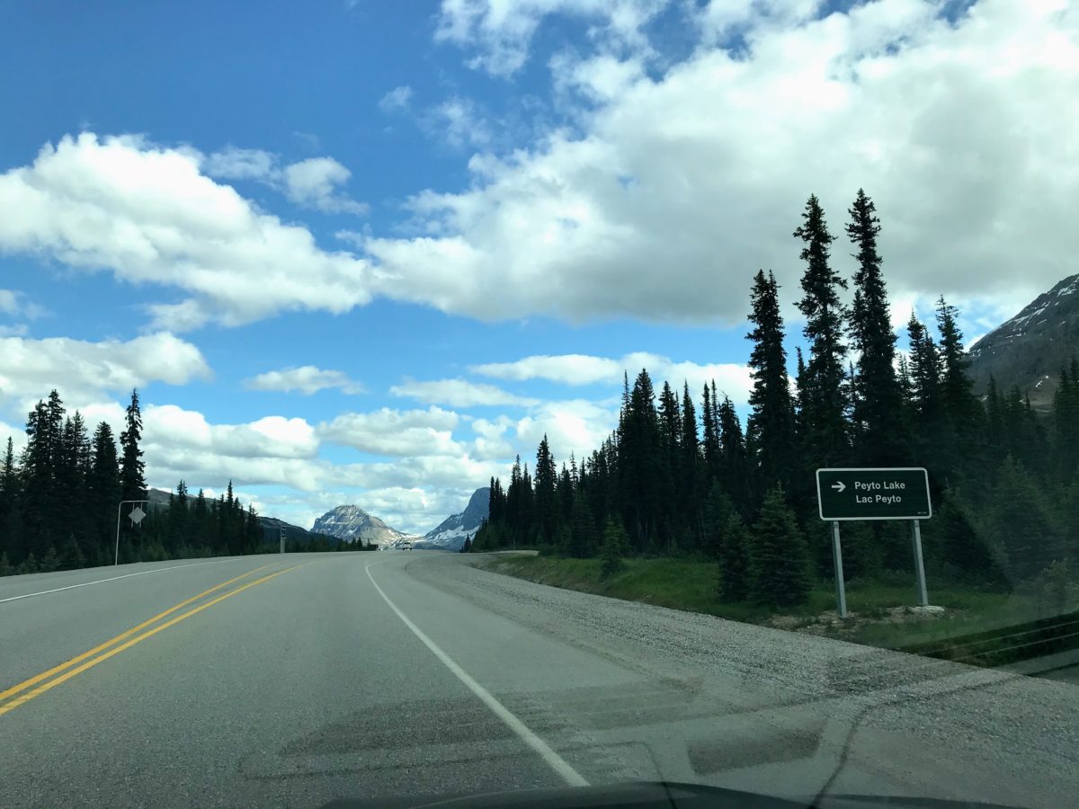 Peyto Lake Icefields Parkway