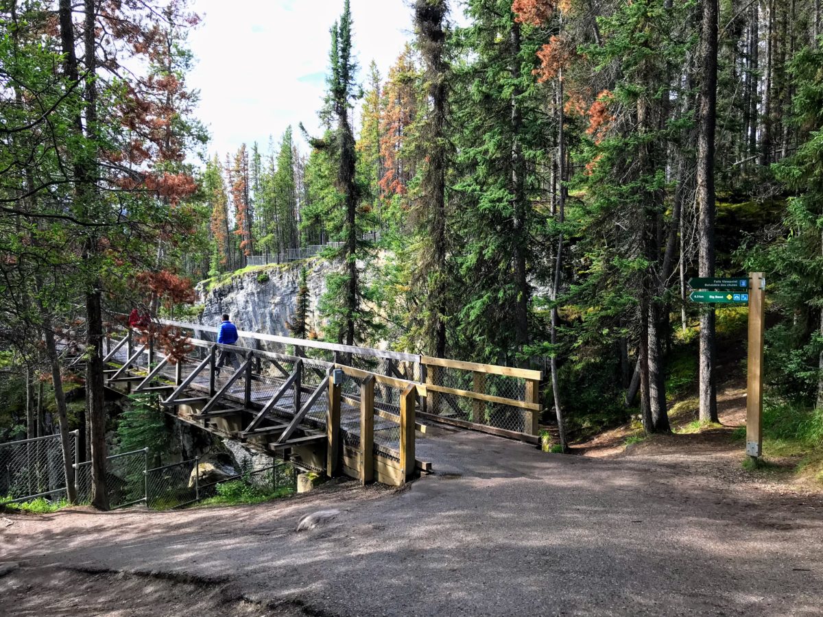 Sunwapta Falls bezoeken