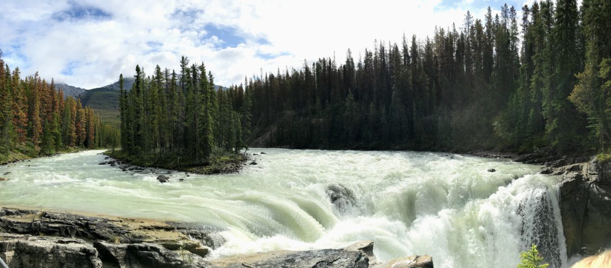 Sunwapta Falls viewpoint