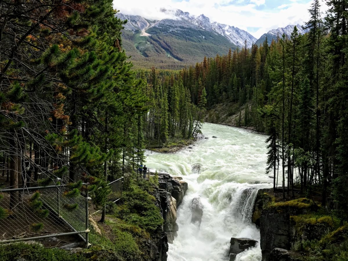 Uitkijkpunt Sunwapta waterval in Canada