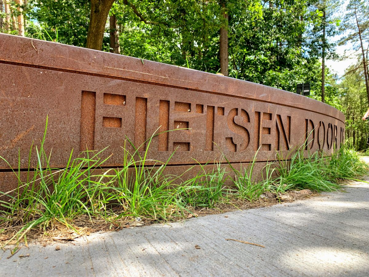 Fietsen door de bomen in Limburg