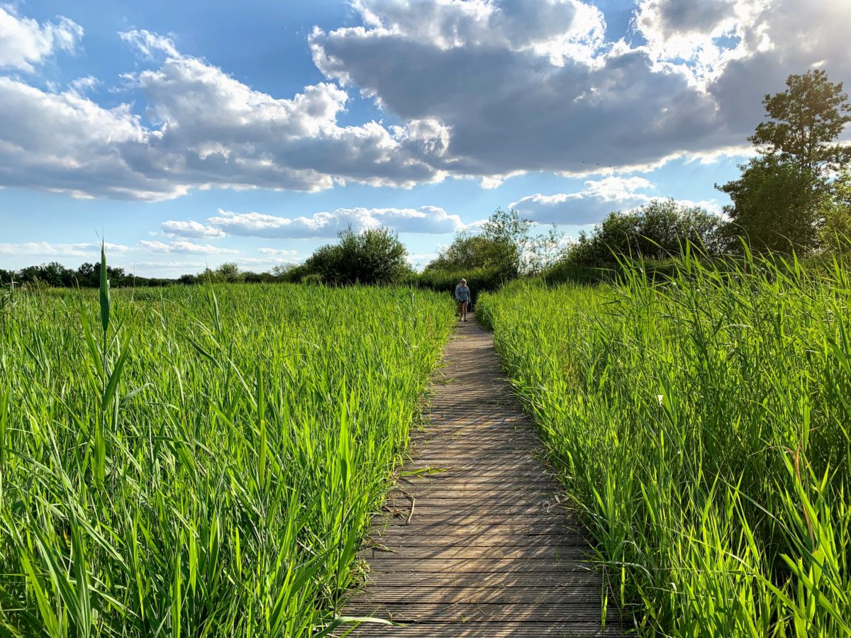 Wandelpad Hageven