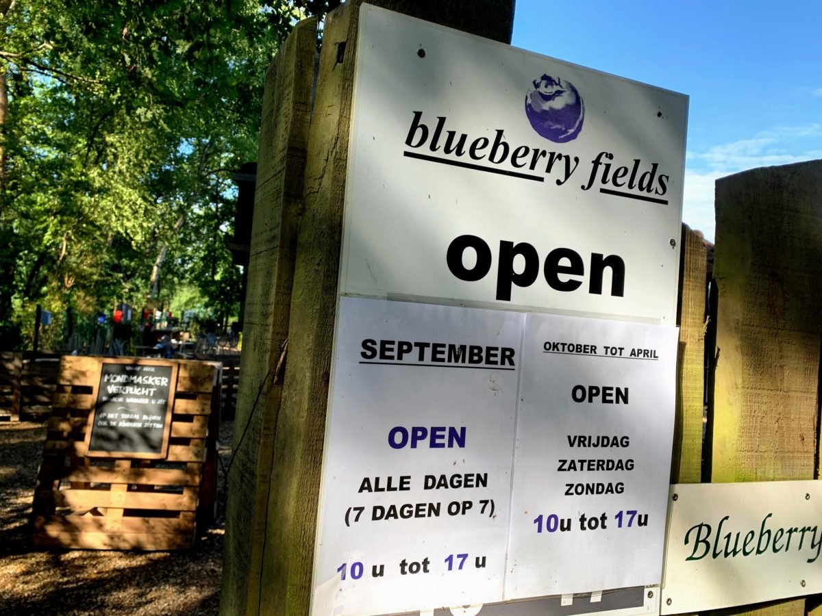 Blueberry Fields Koersel openingsuren