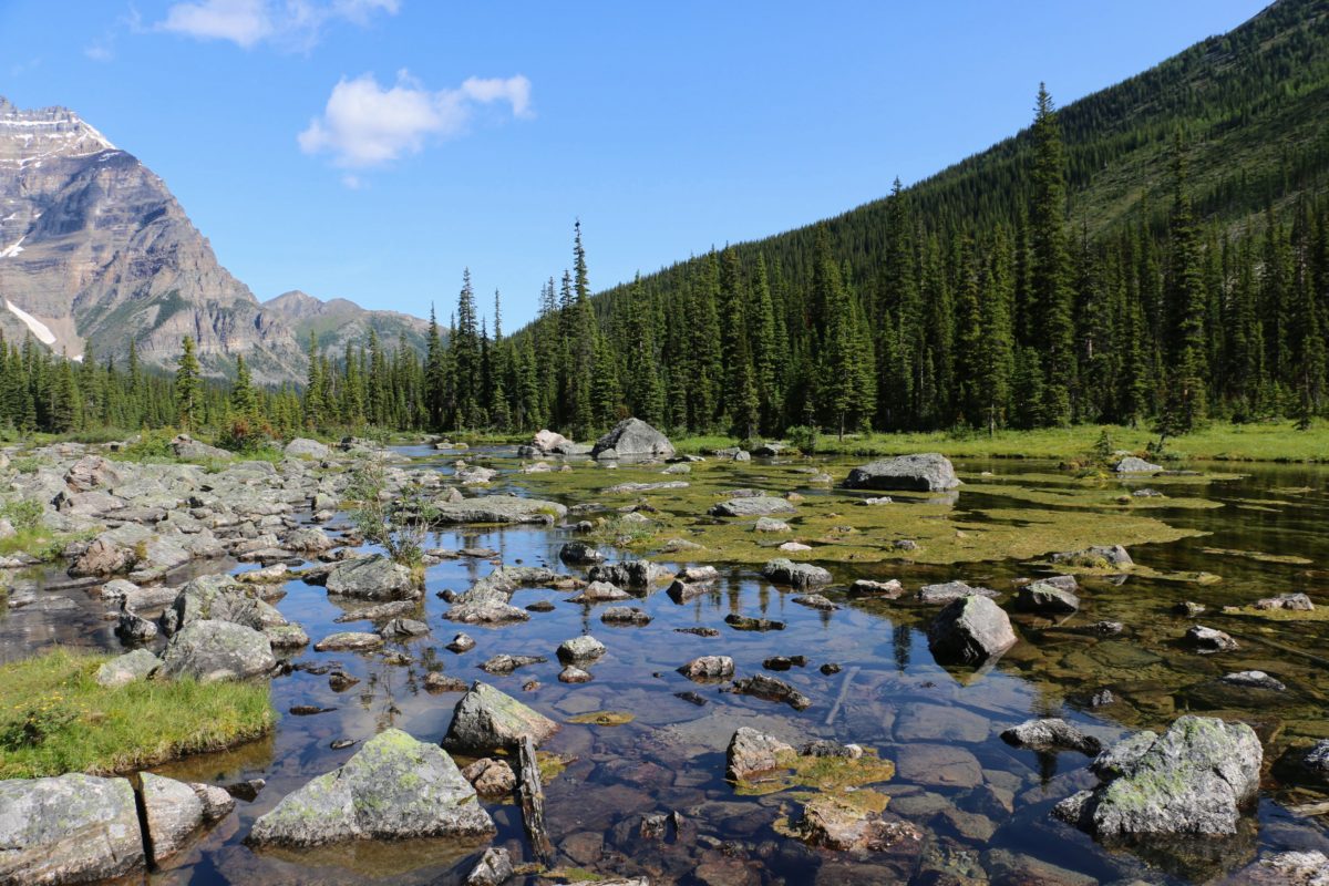 Consolation Lakes