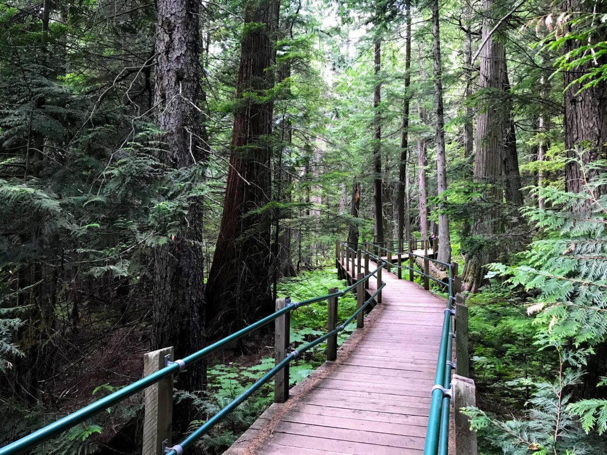 Hemlock Grove Boardwalk