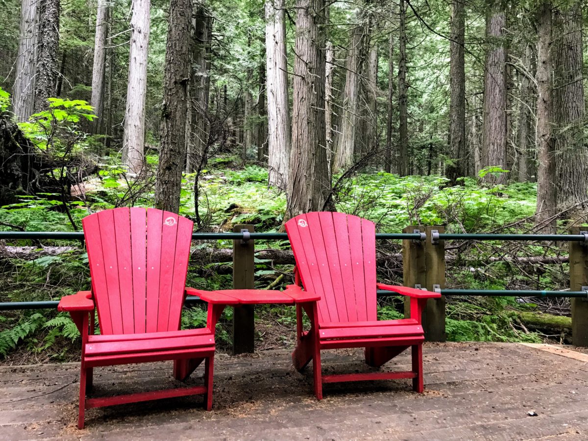 Hemlock Grove Boardwalk