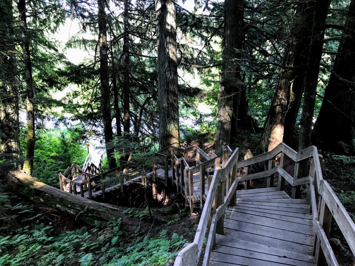 Giant Cedars Boardwalk