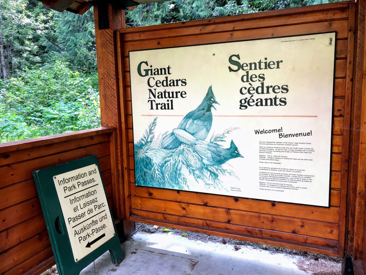 Giant Cedars Nature Trail