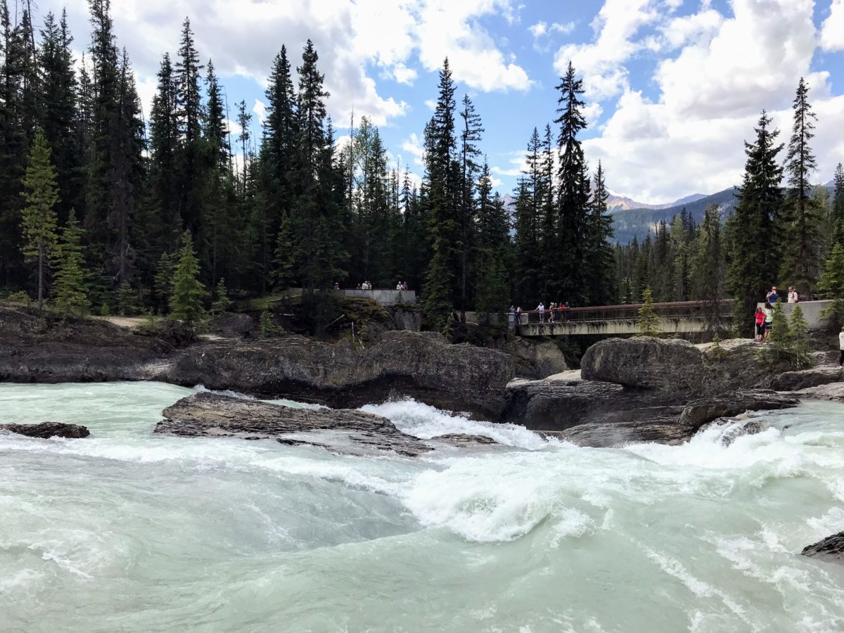 Kicking Horse River