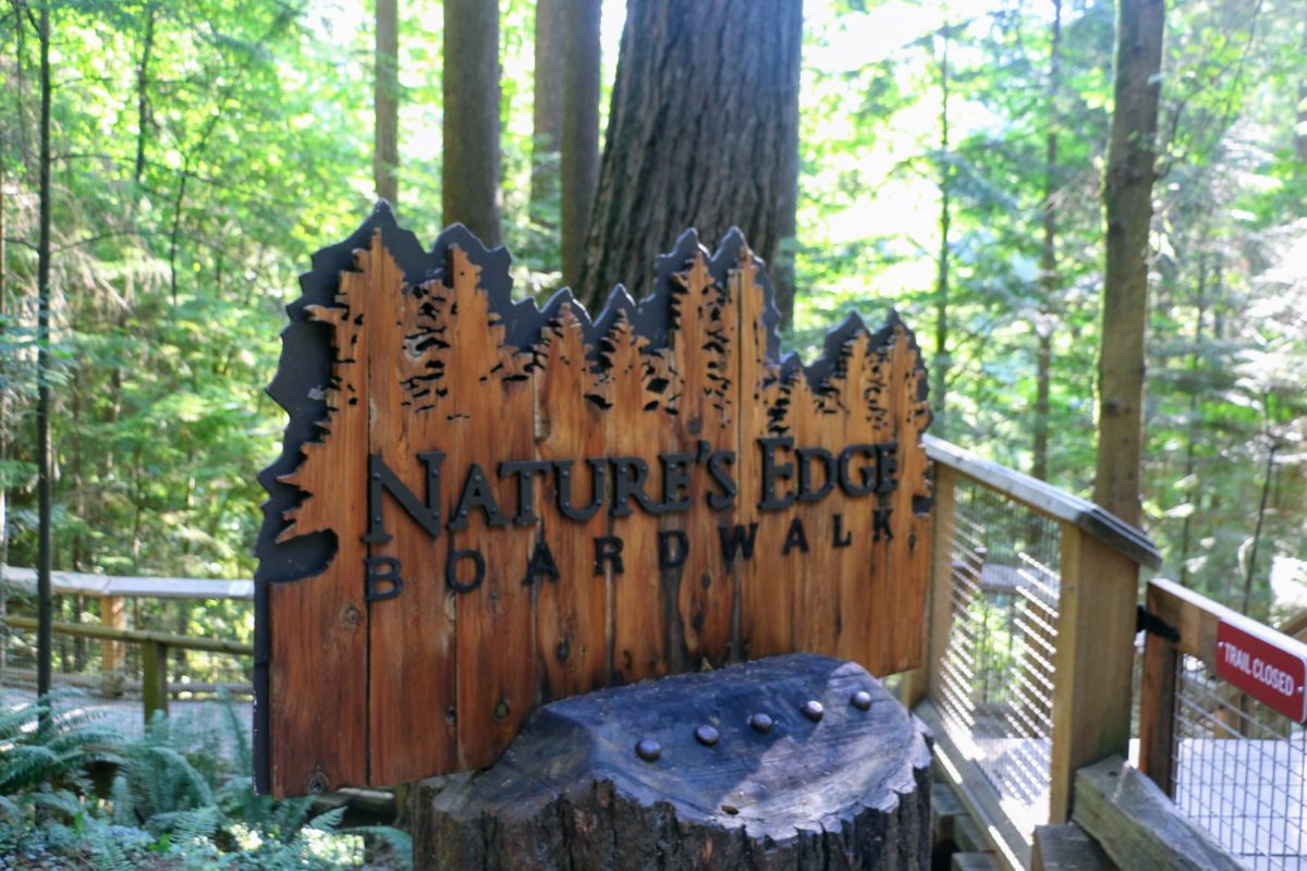 Nature's Edge Boardwalk