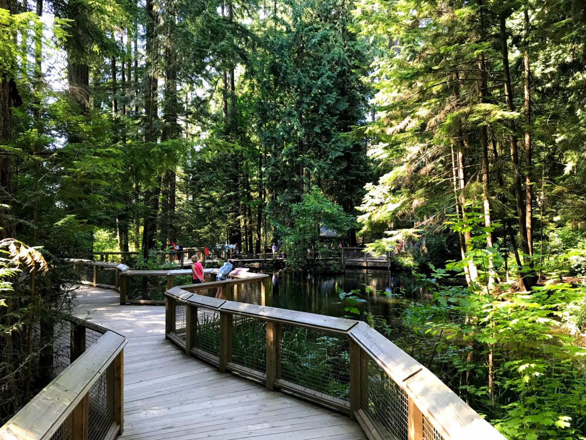 Nature's Edge Boardwalk