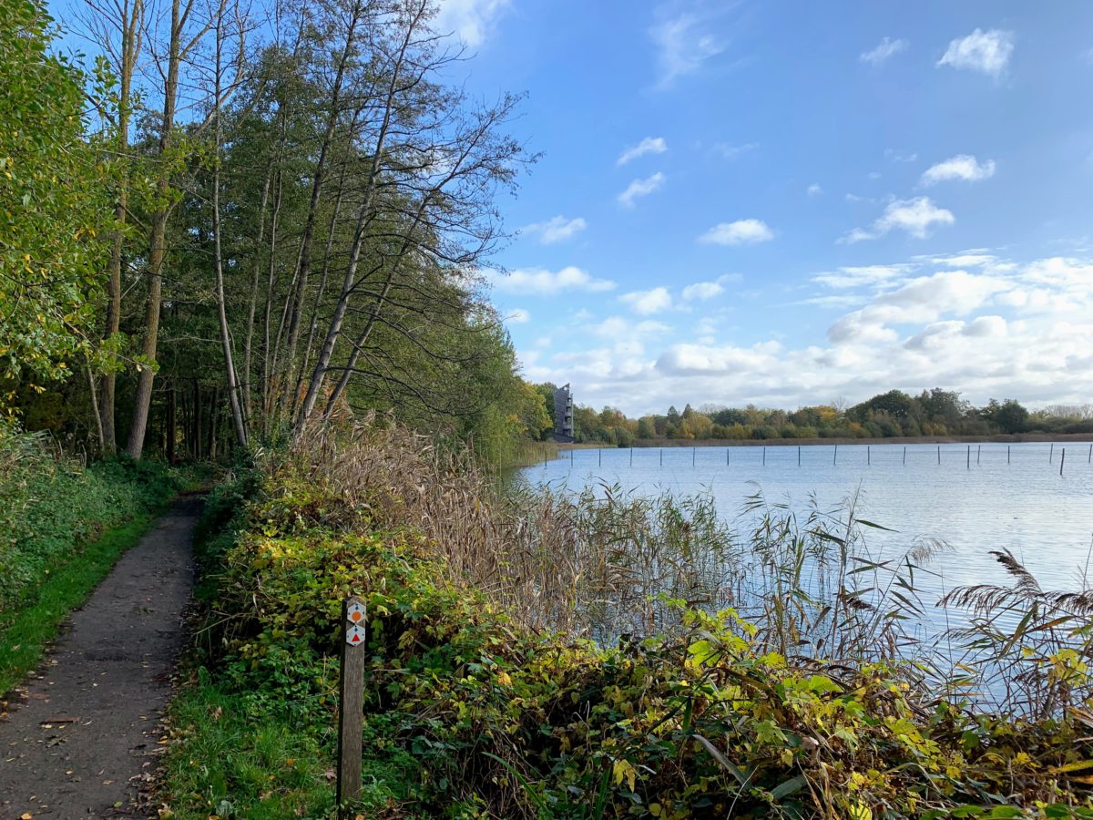 Wandeling naar uitkijktoren Zonhoven