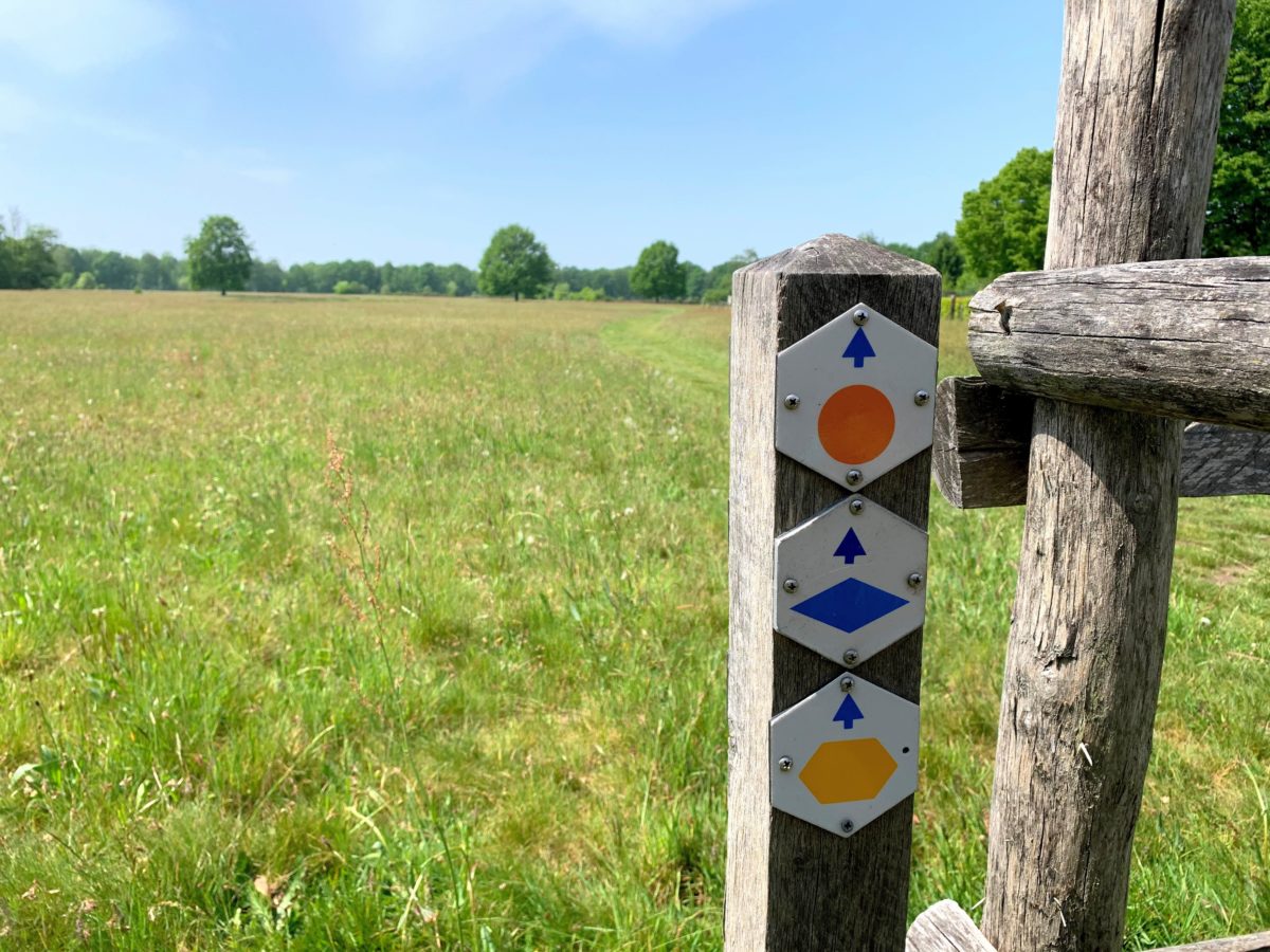 Oranje wandeling Platwijers en uitkijktoren