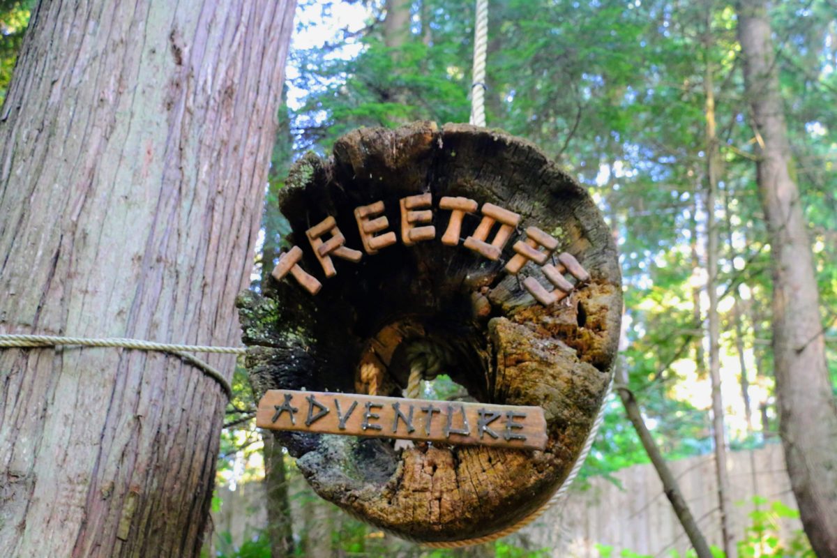 Treetops Adventure Capilano