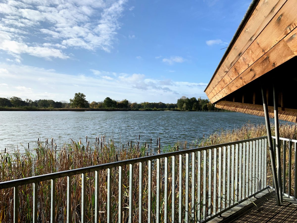 Uitkijktoren Zonhoven