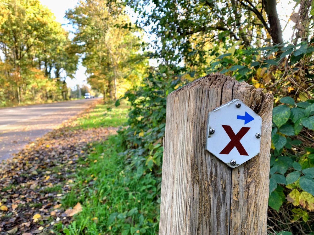 Volg rode wandeling naar uitkijktoren