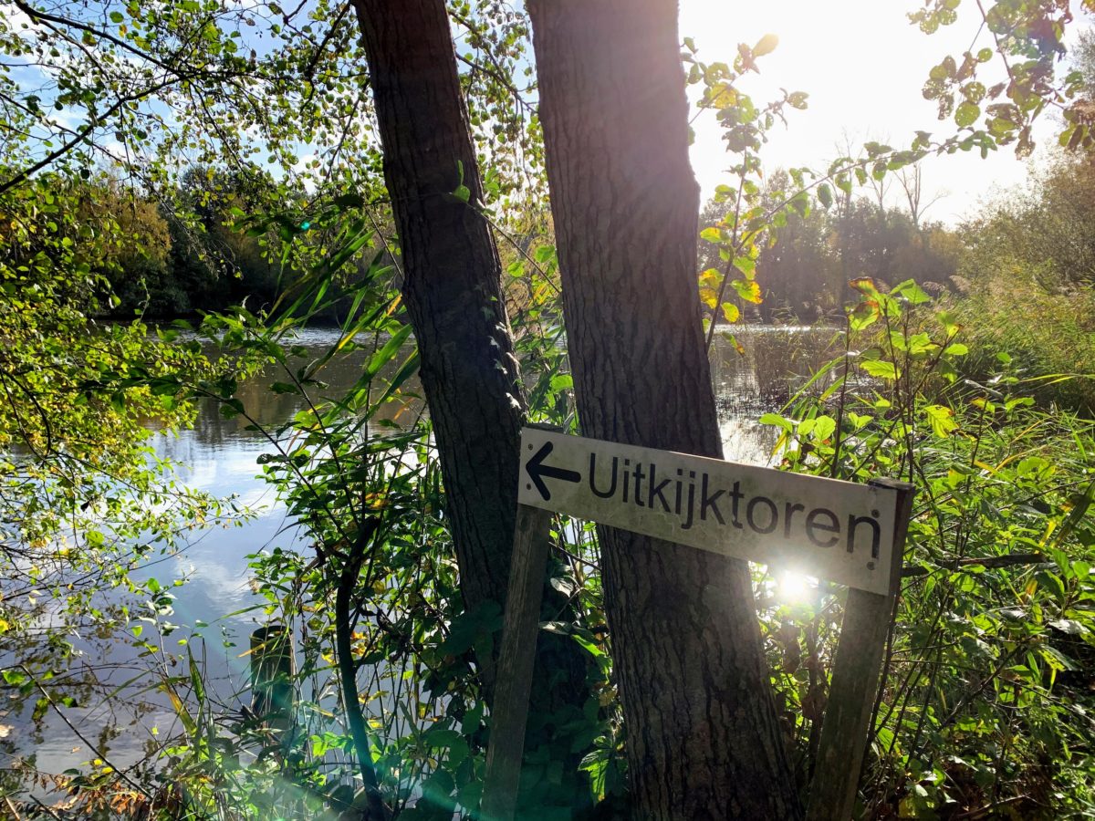 Uitkijktoren wandeling zonhoven