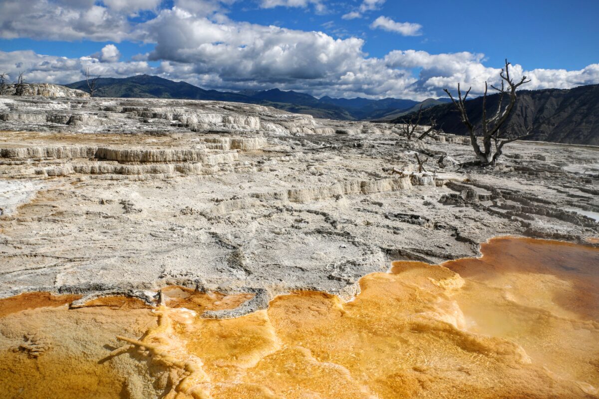 Canary Spring Mammoth Hot Springs