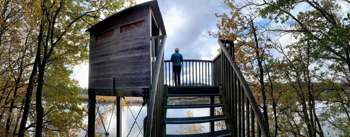 Uitkijktoren Begijnenvijvers