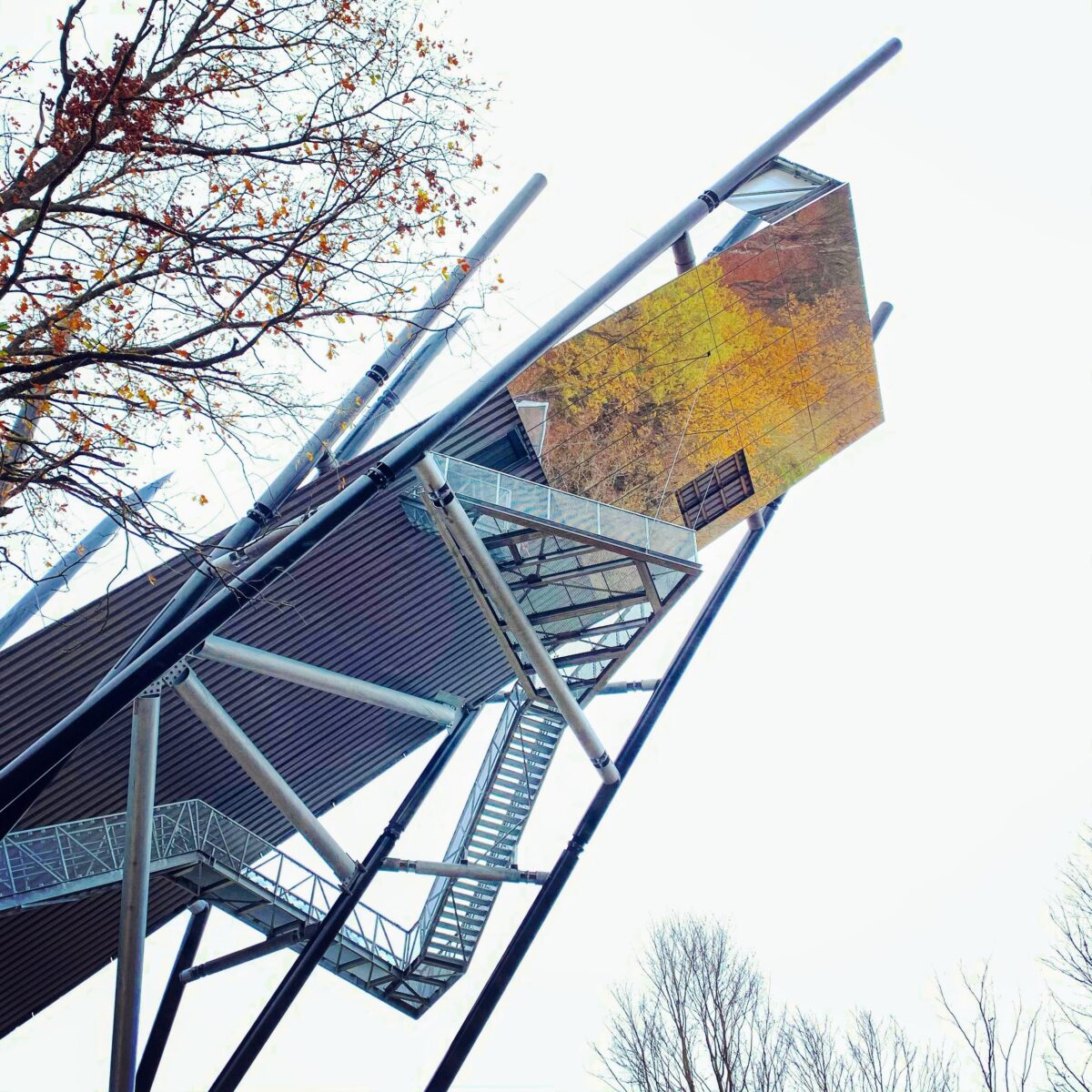 Uitkijktoren Kattevennen