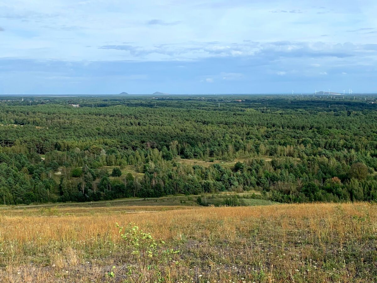 Mijnterril Heusden-Zolder panorama