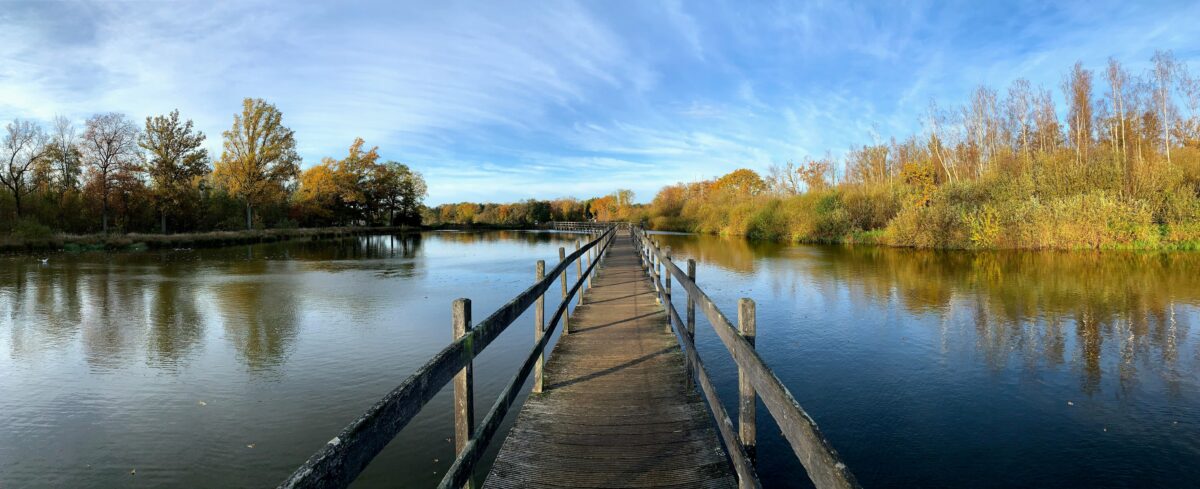 Vlonderwandeling Domein Bovy