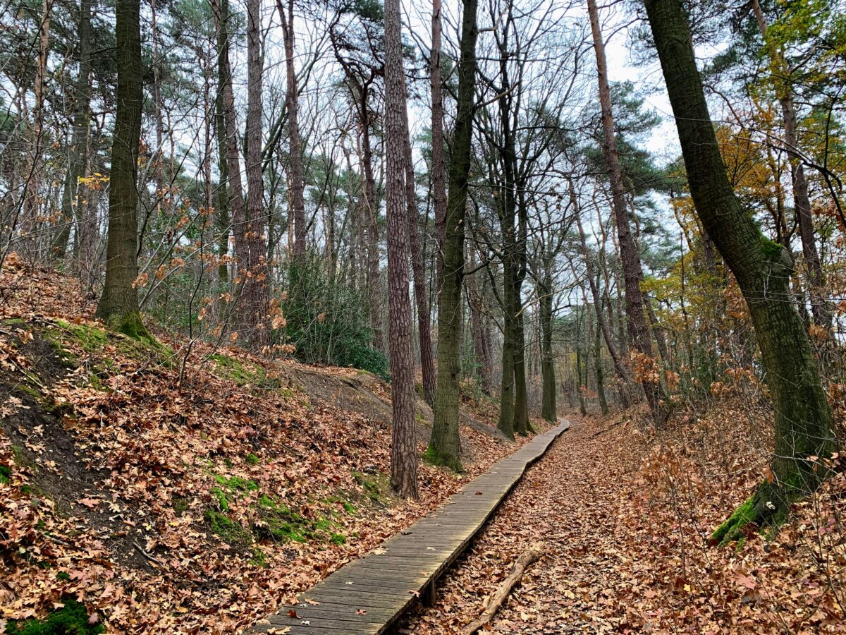 Vlonderpad Kattevennen