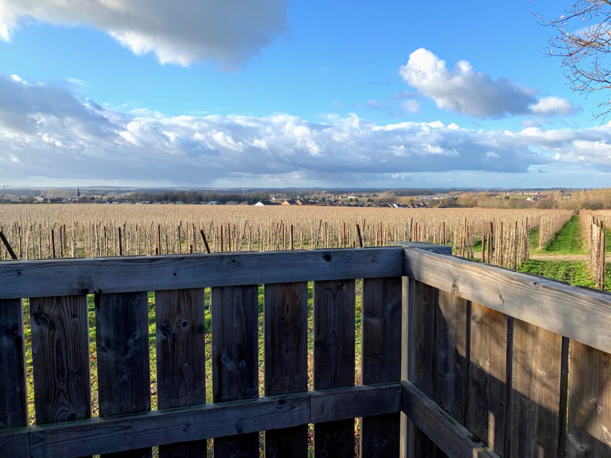 Uitzichtpunt Viersprong Nieuwenhoven