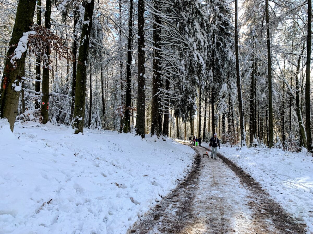 Winterwandeling