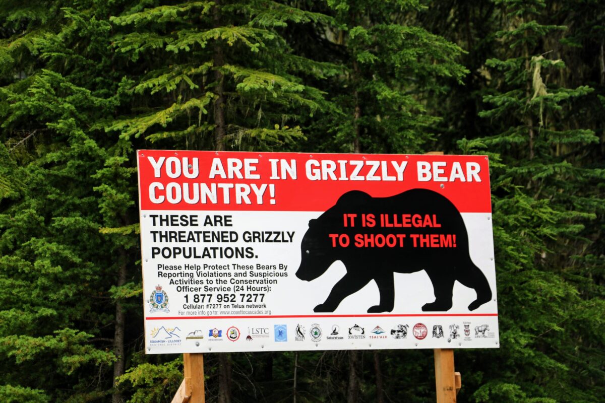 You are in Grizzly bear Country