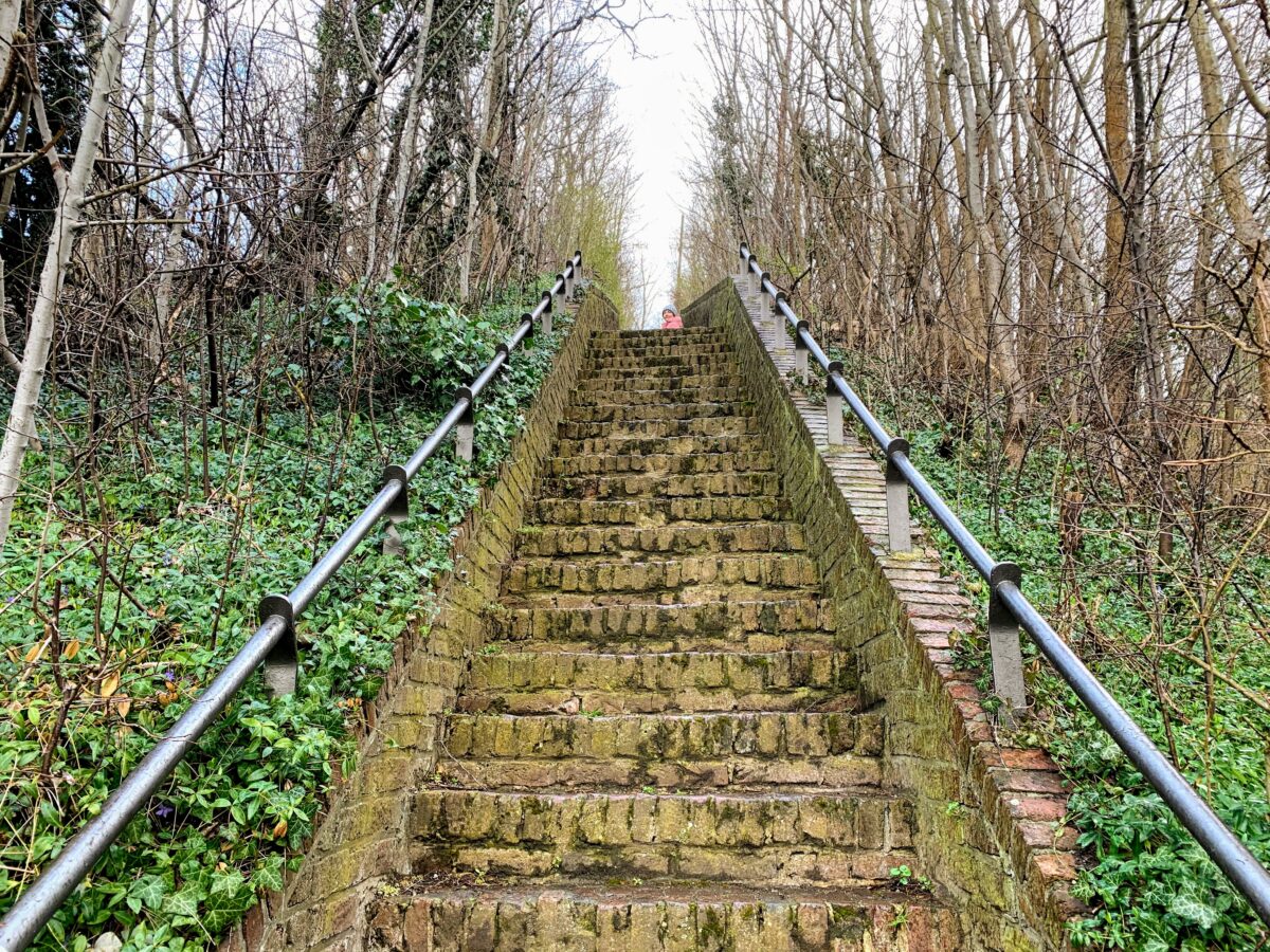 Trappen op de Borreberg