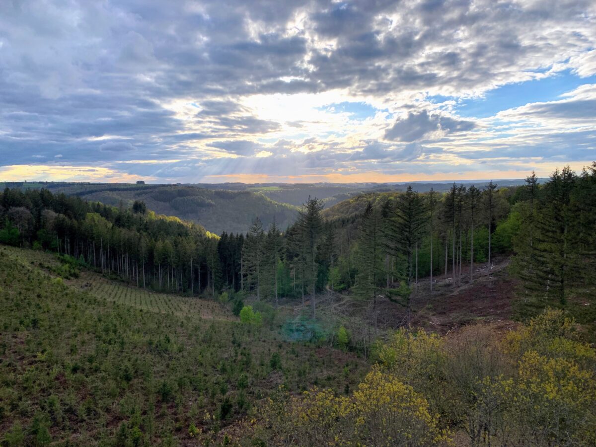 Panorama bossen Bouillon