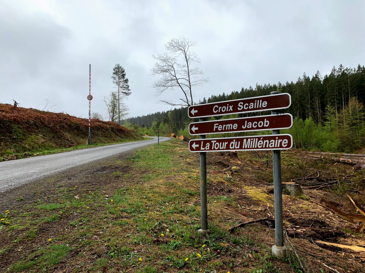 Route naar de uitkijktoren in Gedinne