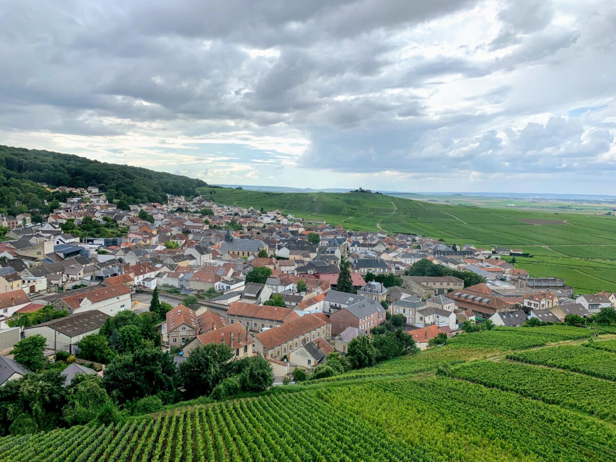 Wijnvelden in de omgeving van Reims