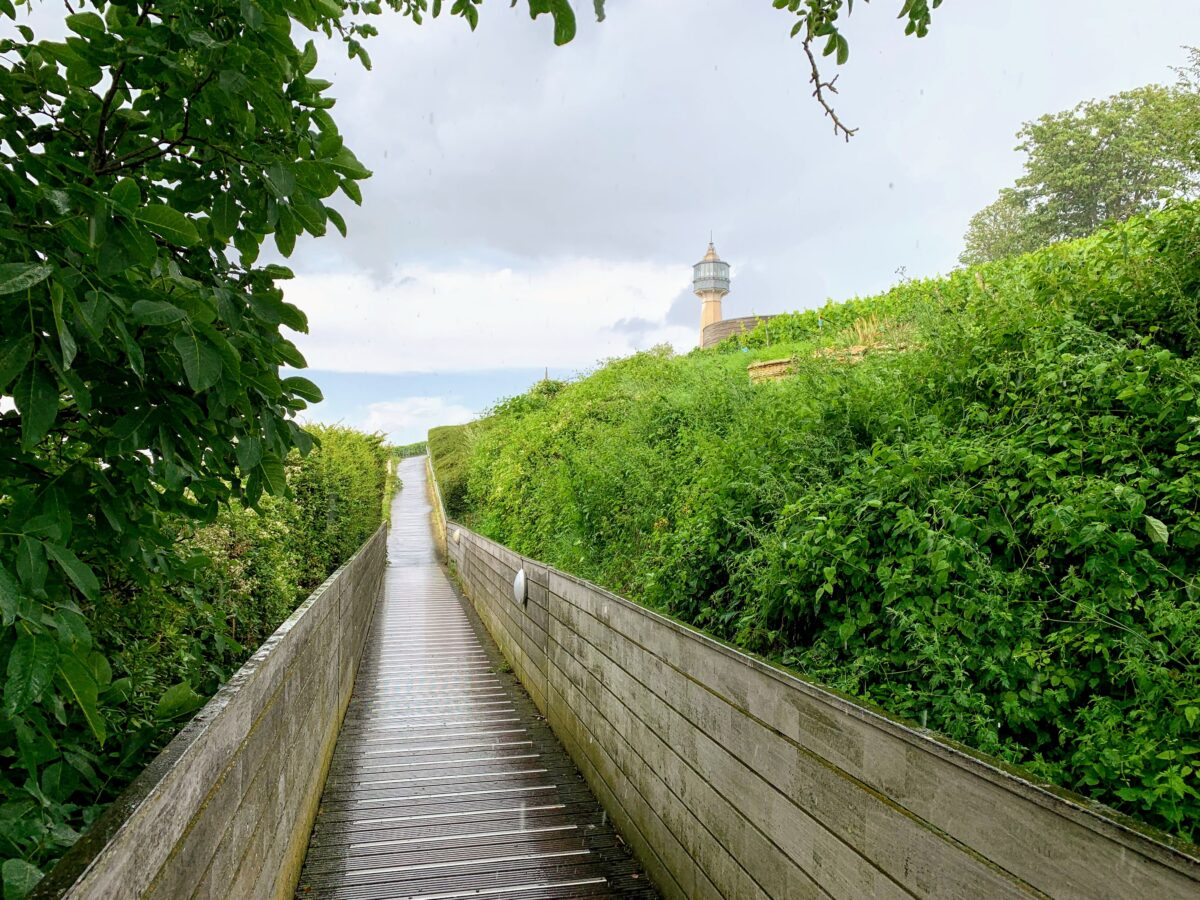 Wandelpad naar Phare de Verzenay