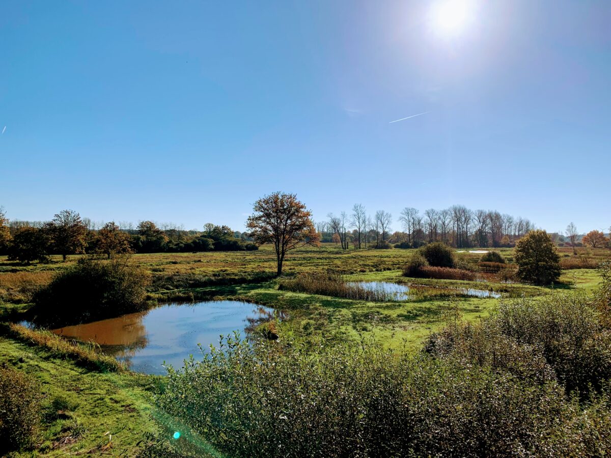 Demerbroeken natuurgebied zichem